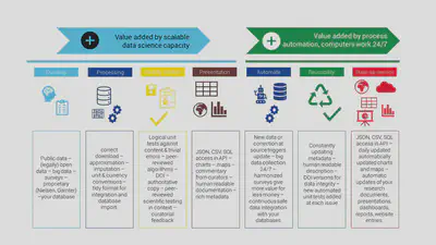 Our service flow and value chain